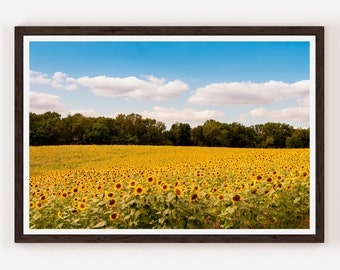 Sunflower and Sun Flair Photography Print Fine Art Photography Floral Wall Decor Yellow Flower poster Sunflower Photo.