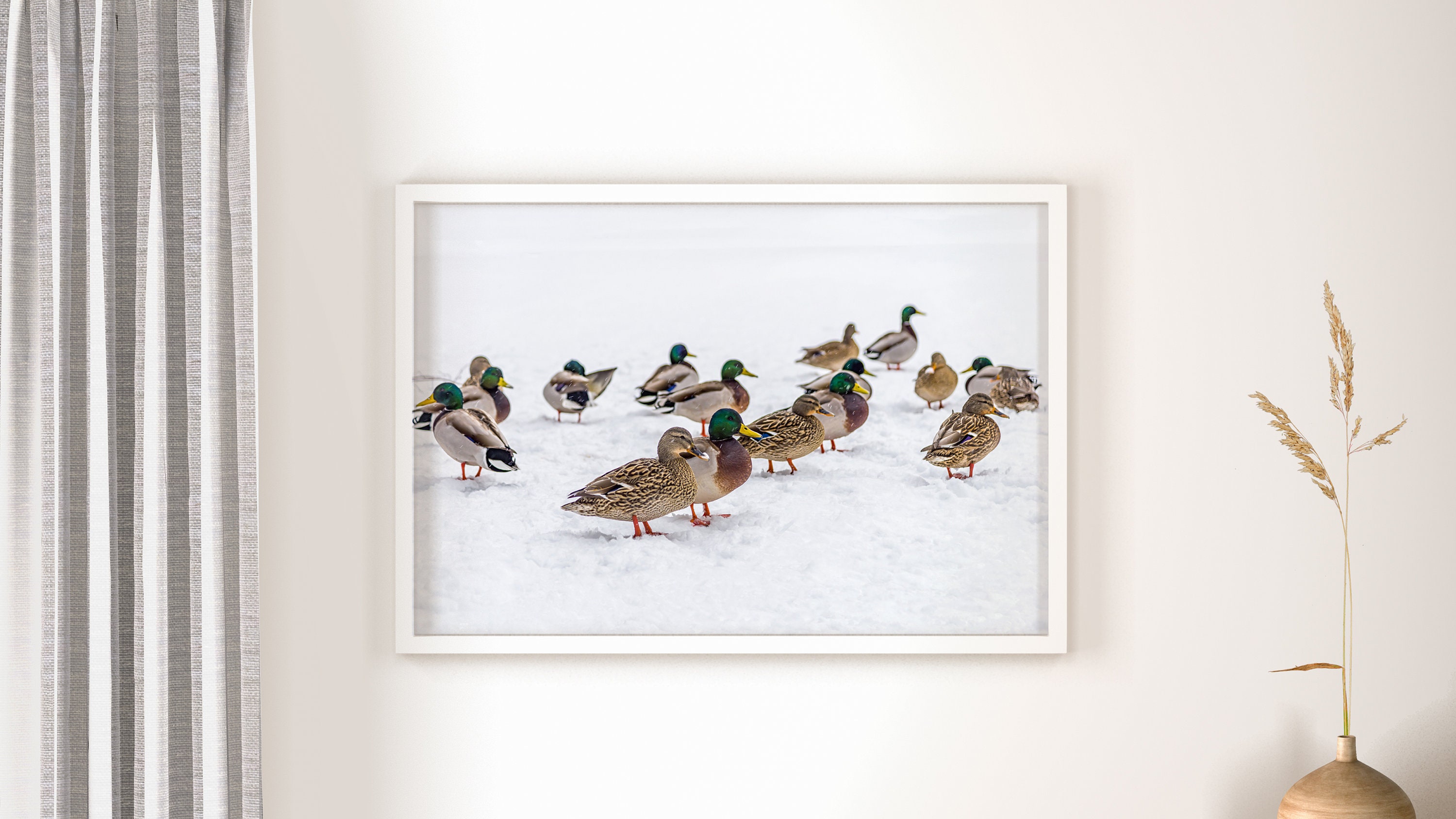 Foto Central Park Winter Ducks: NYC Snow Day muurkunst - Etsy België, image size:3000x1688