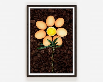 Flower of a new type of Eggplant Food Photography Print Egg Fine Art Photo Print Kitchen Wall Decor.