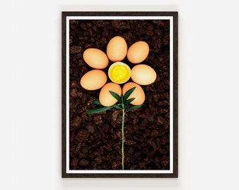 Flower of a new type of Eggplant Food Photography Print Egg Fine Art Photo Print Kitchen Wall Decor.