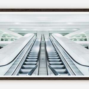 Può includere: Due scale mobili in un edificio moderno e bianco con un soffitto curvo. Le scale mobili sono vuote e conducono a un livello superiore.