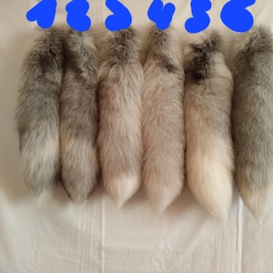 May include: Six fluffy animal tails arranged in a row, numbered one through six in blue text. The tails feature varying shades of gray, silver, and white fur, each with a distinct color gradient and a soft, pointed white tip at the bottom.