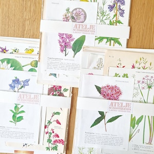 Variação de páginas de livros botânicos, pacote com 15 peças, vintage, sueco, diário, scrapbooking, artesanato, colagem, recortes, moldura