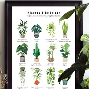 Poster Innenpflanze Aquarell botanische Illustration Tropische Dschungeldekoration, Geschenk für Grünpflanzenliebhaber Gemälde Calathea Zeichnung