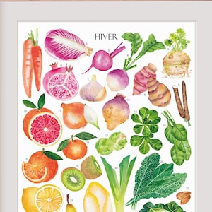 Winterplakat, saisonale Früchte und Gemüse, Aquarell, botanische Illustrationstafel, Küchenplakat, farbenfrohe Wanddekoration, Restaurantdekoration