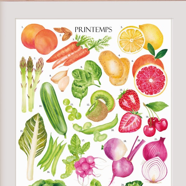 Affiche Printemps Fruits et légumes de saison aquarelle Planche illustration botanique Poster cuisine Décoration mur colorée déco restaurant