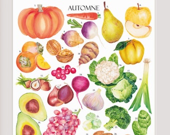 Höstposter: Säsongens frukter och grönsaker, akvarell botanisk illustration, kökposter, färgglad väggdekoration, restaurangdekor