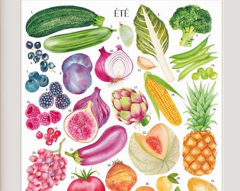 Sommarposter med säsongens frukter och grönsaker i akvarell, en botanisk illustration. En sommarkökposter för färgglad väggdekoration eller en restaurang.