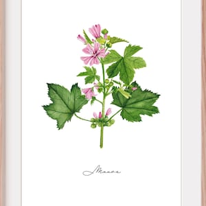 Aquarela de flor selvagem de jardim lilás Presente country Decoração floral cottagecore Natureza e pôster relaxante Placa botânica original