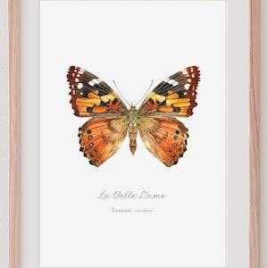 Aquarel Vlinder Illustratie Franse vlinder kunstprint tuin oranje Insect tekening entomologie Verjaardagscadeau Natuurdecoratie