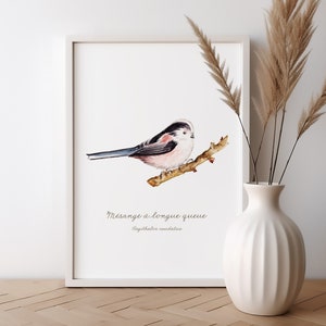 Illustrazione dell'uccello dell'acquerello Codibugnolo Stampa pittura artistica regalo Festa della mamma Festa del papà Compleanno Decorazione artistica da parete