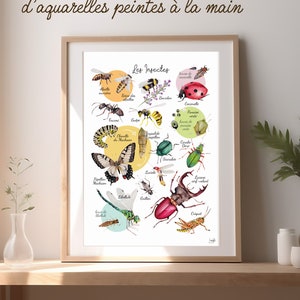 Watercolor insects poster illustrations, picture book of small garden creatures, butterfly bee beetle dragonfly, biodiversity children&#39;s gift