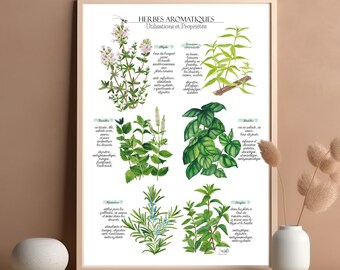 Affiche Herbes aromatiques aquarelle Planche botanique Illustration herbier peinture Propriété herbe Poster décoration de cuisine restaurant