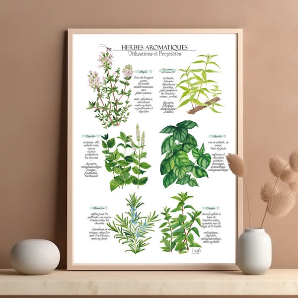 Poster Aromatische kruiden aquarel Botanische plank Illustratie herbarium schilderij Eigendom kruid Poster keuken restaurant decoratie