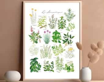 Poster herbs and aromatics watercolor painted Botanical illustration Restaurant decor Kitchen wall art poster cooking herbs identification