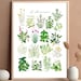 see more listings in the Plantes et Fleurs section