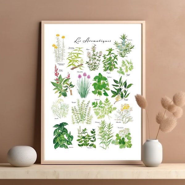 Affiche Plantes et Herbes aromatiques aquarelle Planche illustration botanique Herbier peinture Poster décoration de cuisine et restaurant