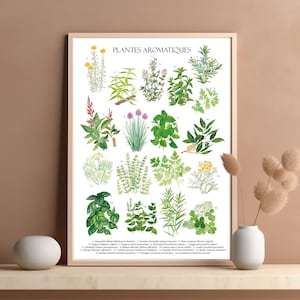 Poster Aromatische Pflanzen und Kräuter Aquarelltafel botanische Illustration Malerei feine Kräuter Küchenplakat Restaurantdekoration