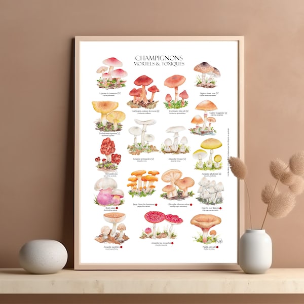 Affiche Champignons toxiques aquarelle Poster mycologie planche botanique Déco style vintage décor mural scientifique illustration originale