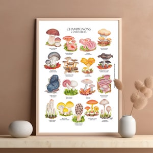 Cartel Setas comestibles acuarela Cartel micología tablero botánico Decoración vintage decoración de pared científica Ilustración original