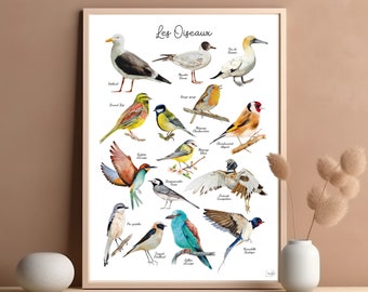 Poster birds watercolor illustration print painted by human
