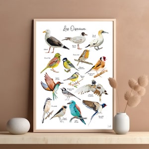 Poster birds watercolor illustration print painted by human