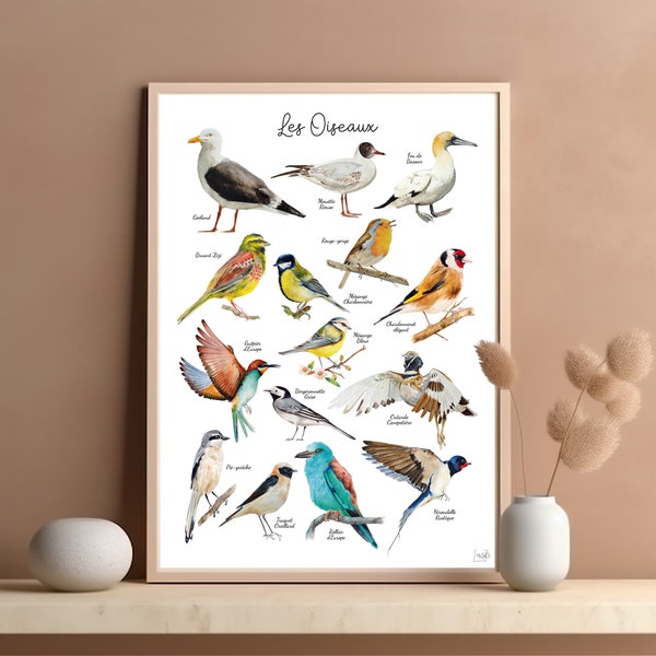 Affiche Oiseaux de France Illustrations Aquarelle