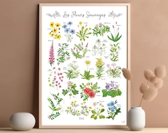 Wildflower watercolor Herbarium painted floral poster Botanical illustration wild flower meadow plant garden Gift for mother day birthday