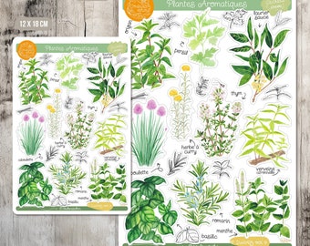 Aromatic plants and herbs stickers watercolor stickers bullet journal decoration recipe notebook deco notebook monitoring of the vegetable garden