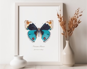 Papillon aquarelle illustration entomologie impression d'art authentique Pensée bleue déco bleue Cadeau passionné insecte Affiche nature