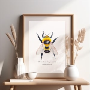 Bourdon aquarelle Print Illustration insecte pollinisateur Bourdon des jardins Peinture entomologie Collection art Cadeau décoration nature