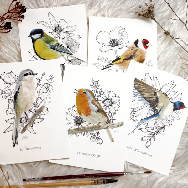 Acuarela pájaros y flores tinta china, Tinta Original sobre Impresión, Colección de tarjetas regalo apasionados por el arte y la naturaleza, Robin