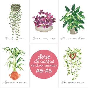 Aquarelle plante intérieur Gift for houseplant lover Ceropegia Philodendron xanadu Kentia Pothos N'joy Print tropical illustration botanique