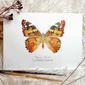 Aquarell-Schmetterling, Druckillustration Originalkunst, Orangefarbener Schmetterling, Entomologische Zeichnungssammlung, Muttertagsgeschenk, Vatertagsgeschenk