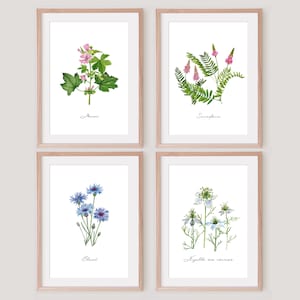 Acuarelas de flores silvestres Regalo campestre Decoración floral cottagecore Cartel de flores de jardín prado natural y camino Tablero botánico