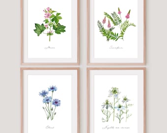 Wildflower watercolors, rustic gift, floral cottagecore decor, garden flower poster, nature meadow and path, botanical print