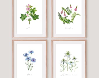 Aquarelles de fleurs sauvages Cadeau champêtre Déco cottagecore fleurie Affiche fleur du jardin nature prairie et chemin Planche botanique