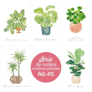 Plantes intérieur Aquarelle,  Print A5, A6, Calathea, Dracaena ,Ficus lyrata, Maranta leuconeura, Pilea peperomioides, Collection jungle