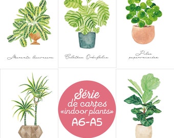 Plantes intérieur Aquarelle,  Print A5, A6, Calathea, Dracaena ,Ficus lyrata, Maranta leuconeura, Pilea peperomioides, Collection jungle