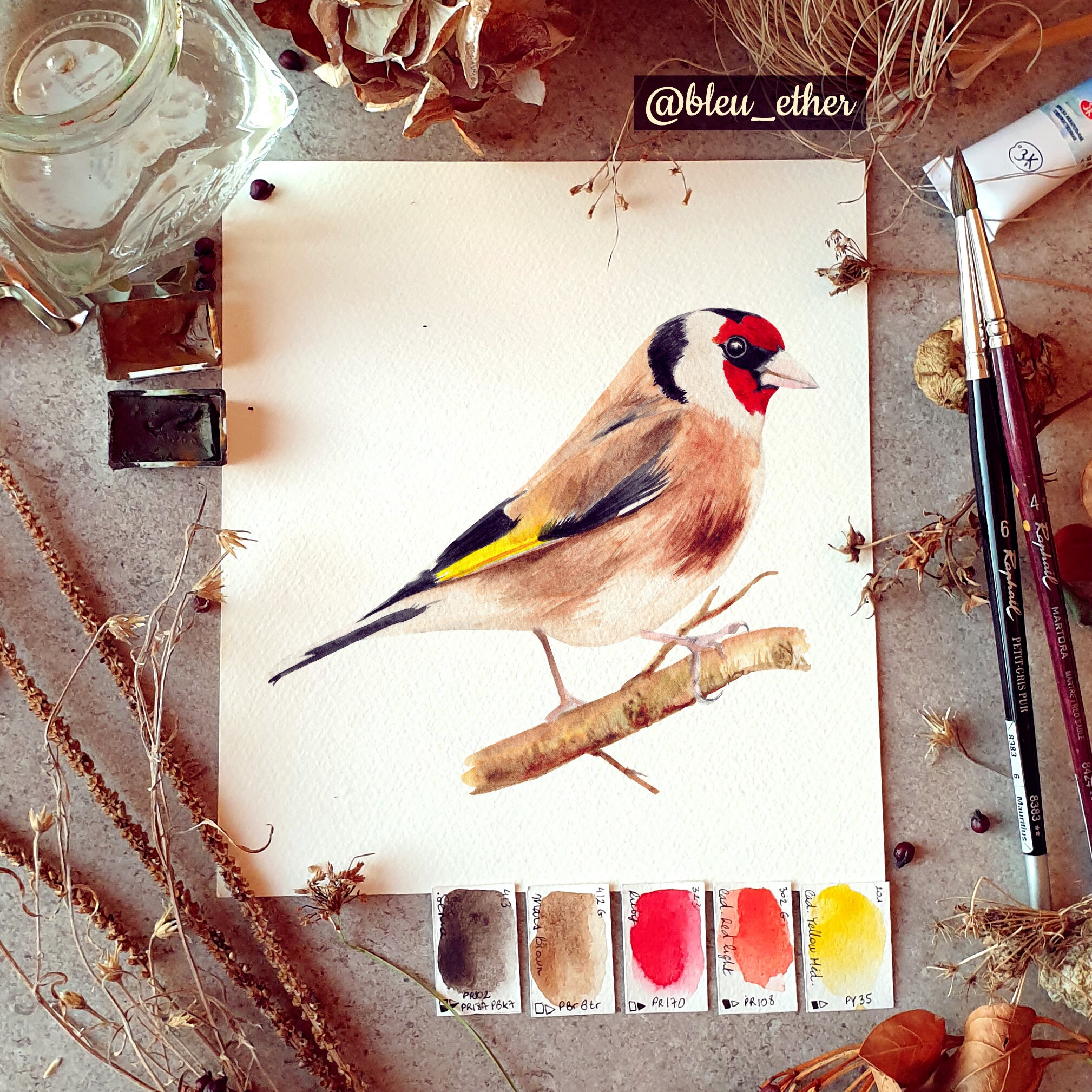 Chardonneret Élégant Print Illustration Aquarelle