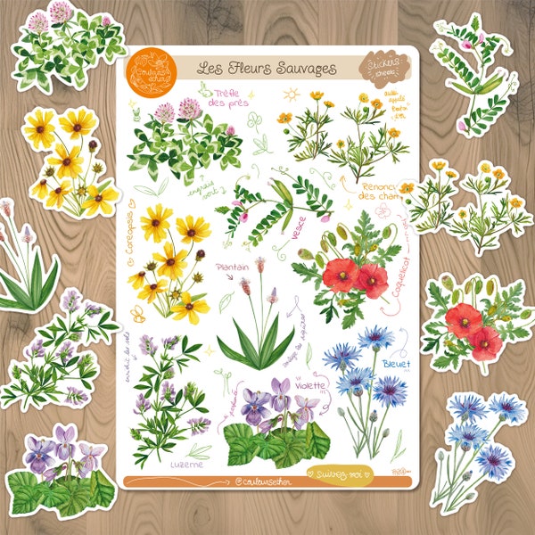 Stickers Fleurs sauvages décoration carnet bullet journal fleurs des champs autocollants coquelicot jardin illustration botanique aquarelle