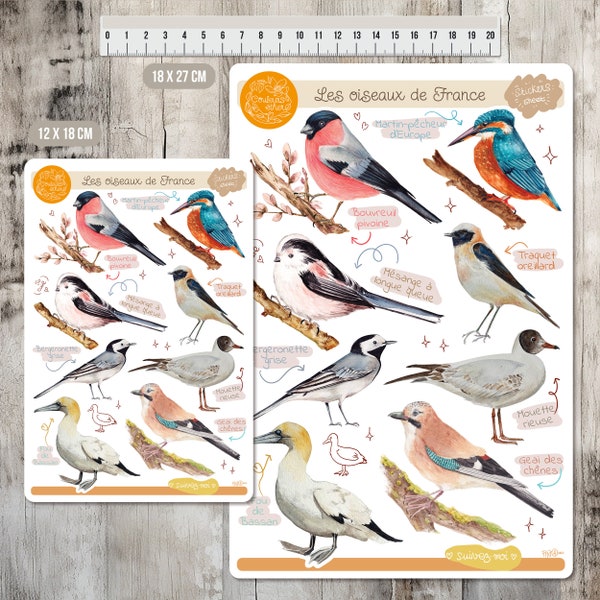 Stickers Oiseaux aquarelle illustration Bouvreuil Pivoine Planche autocollant de peintures originales Déco bullet journal planner scrapbook