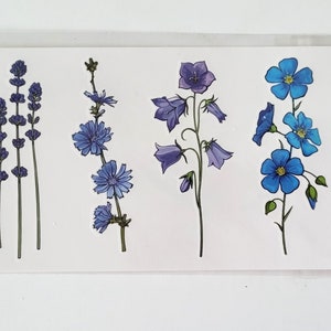 Può includere: Quattro disegni di tatuaggi temporanei con fiori blu. I disegni includono lavanda, cicoria, campanule e lino.