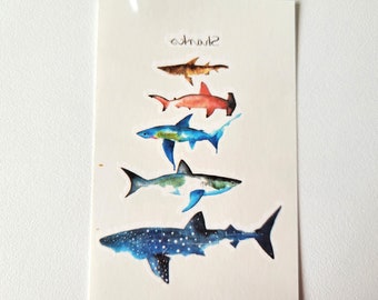 Shark temporary tattoo, 5 sharks/sheet
