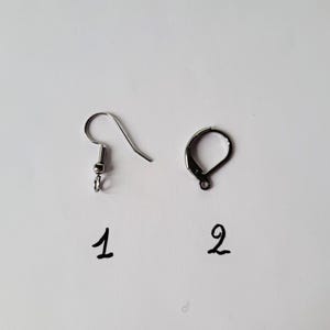 May include: Two silver earring hooks, one with a loop at the end and the other with a small ball at the end. The hooks are labeled 1 and 2.