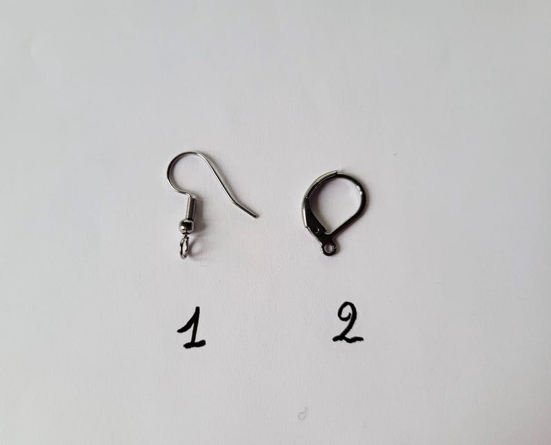 May include: Two silver earring hooks, one with a loop at the end and the other with a small ball at the end. The hooks are labeled 1 and 2.