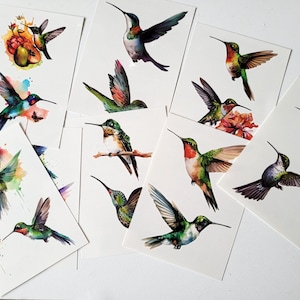 May include: A set of ten watercolour hummingbird illustrations on white cardstock. Each illustration features a different hummingbird with vibrant colours and intricate details. The hummingbirds are depicted in various poses, including flying, perched, and feeding.
