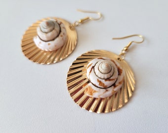 shell earrings