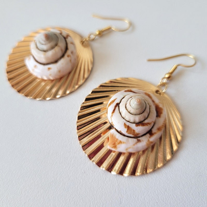 Boucles d'oreilles Coquillage <br/> Bucardes Polies main image 0