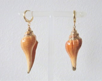 oorbellen, mini-hoepels, schelpen